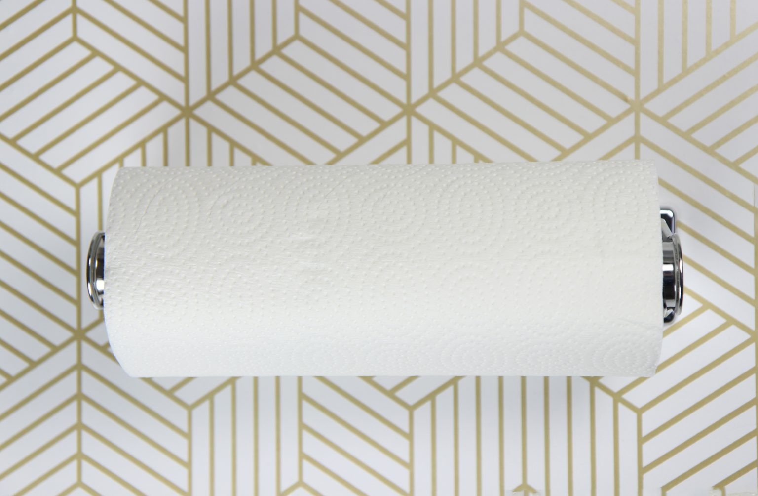 Paper Towel Dispenser Frost