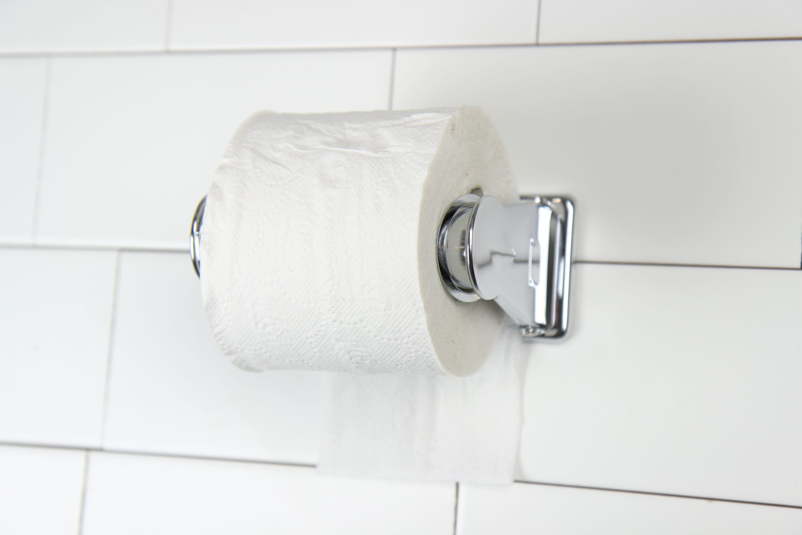 Recessed Toilet Tissue Holder – Frost